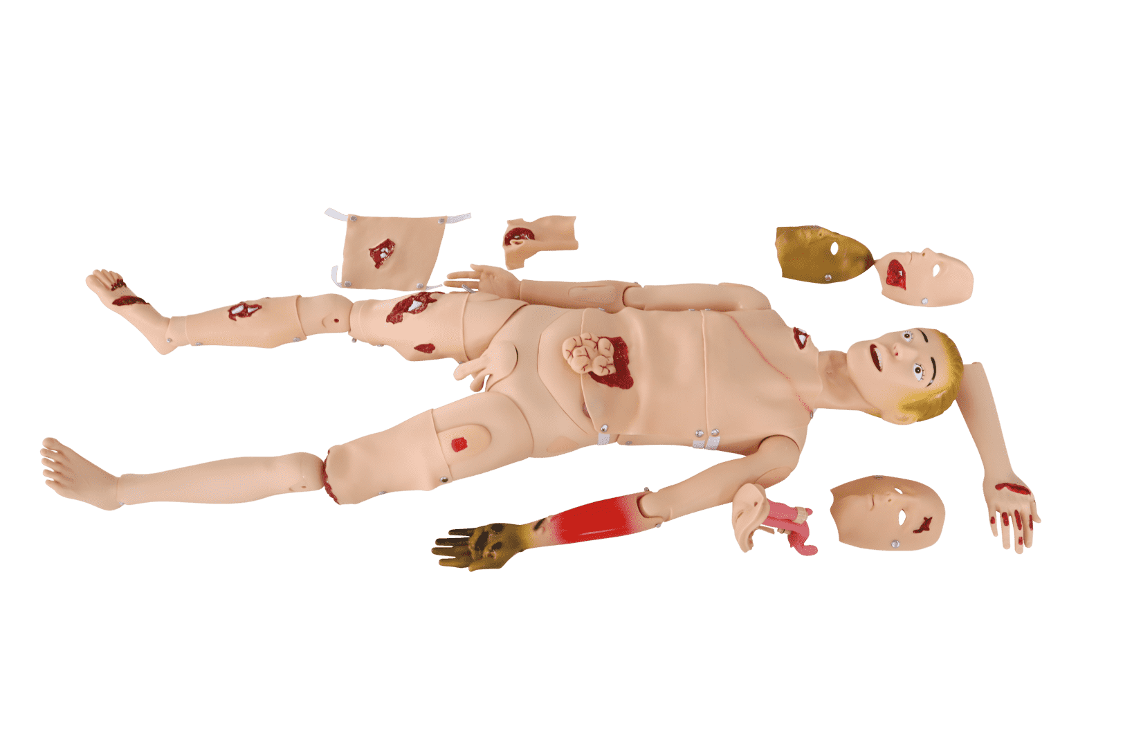 Trauma Manikin